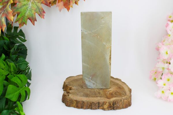 Aiiwatani Mizu Asagi lev5