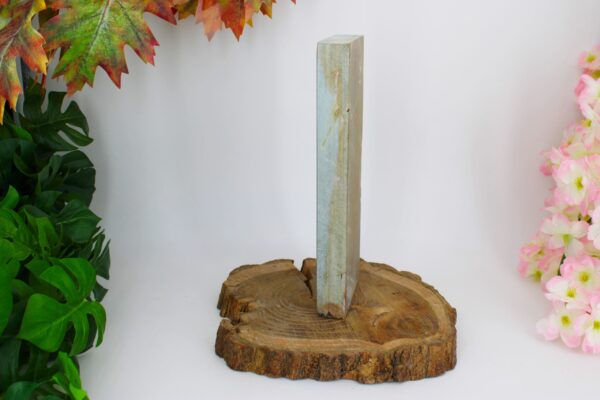 Aiiwatani Mizu Asagi lev5