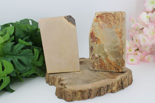 Shohonyama Shobudani Iromono