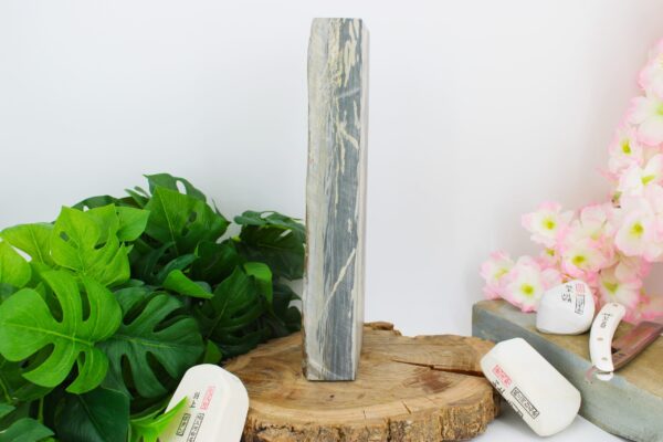 [rare] Nakayama Karasu Namazu