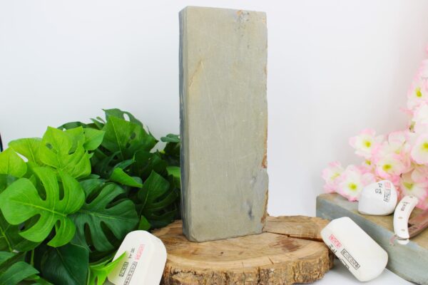 [rare] Nakayama Karasu Namazu