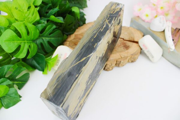 [rare] Nakayama Karasu Namazu