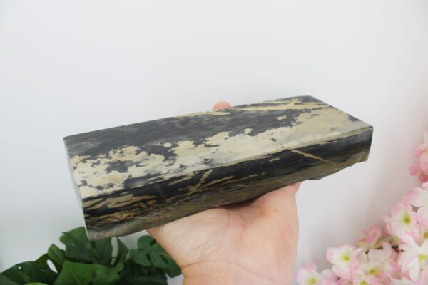 [rare] Nakayama Karasu Namazu