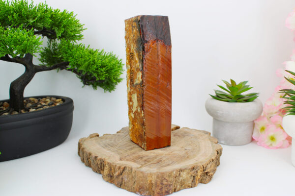 Lev4.5 Aiiwatani Tamagoiro