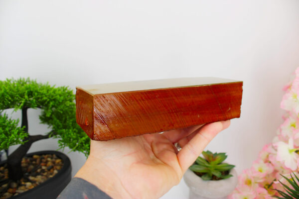 Lev4.5 Aiiwatani Tamagoiro