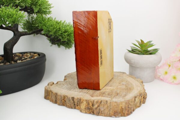 Shobudani Kiita lev4.5