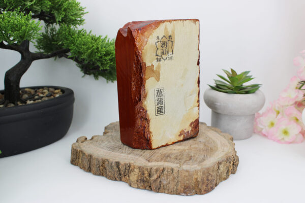 Shobudani Kiita lev4.5