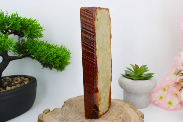 [collector Awasedo] Lev5 Nakayama