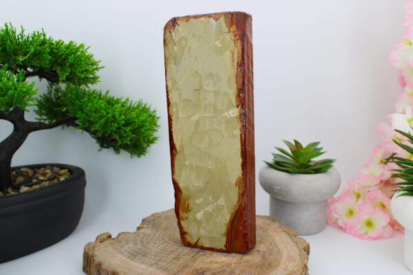 [collector Awasedo] Lev5 Nakayama