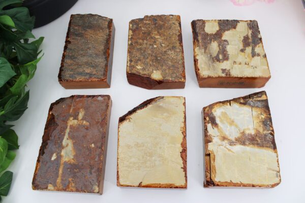 Lev4.5 Aiiwatani Kiita