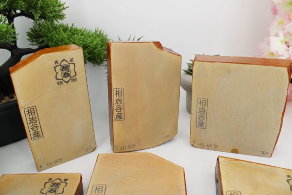 Lev4.5 Aiiwatani Kiita