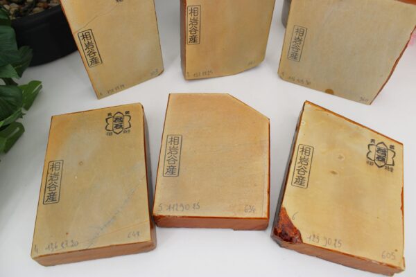 Lev4.5 Aiiwatani Kiita