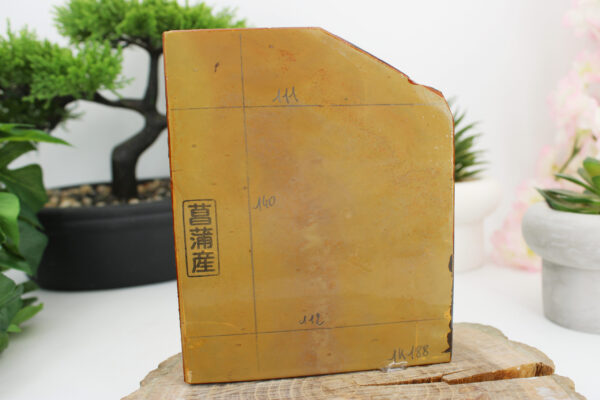 [large] Shobudani Iromono lev4.5