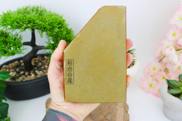 [large] Aiiwatani Kiita lev4.5 / 5